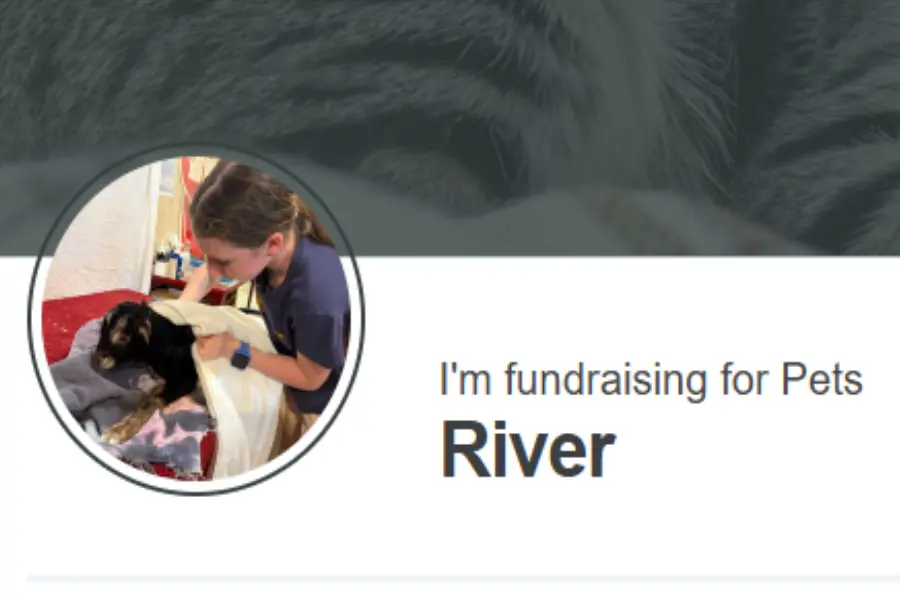 Screenshot of River's fundraising page, including her profile photo: Working with baby goats.